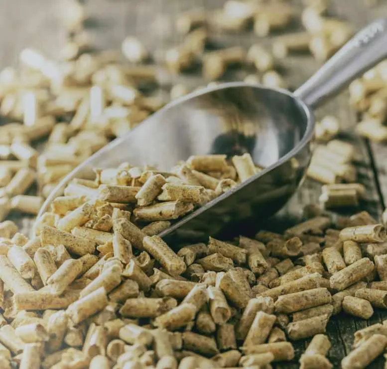 wooden pellet