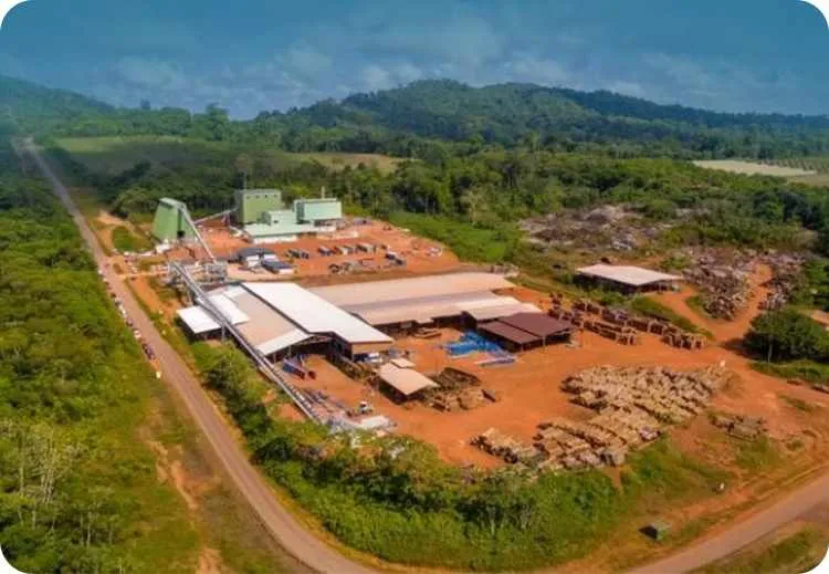 10T/H Biomass EFB wood pellet project in indonesia