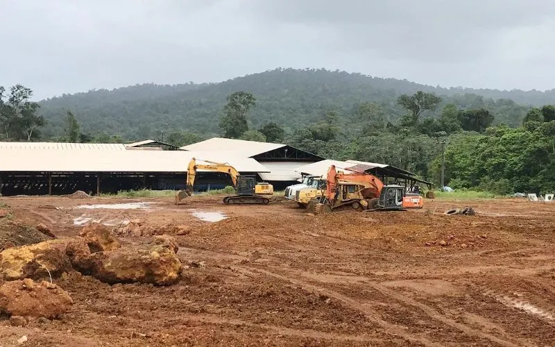 biomass pellet project cost for Bolivia