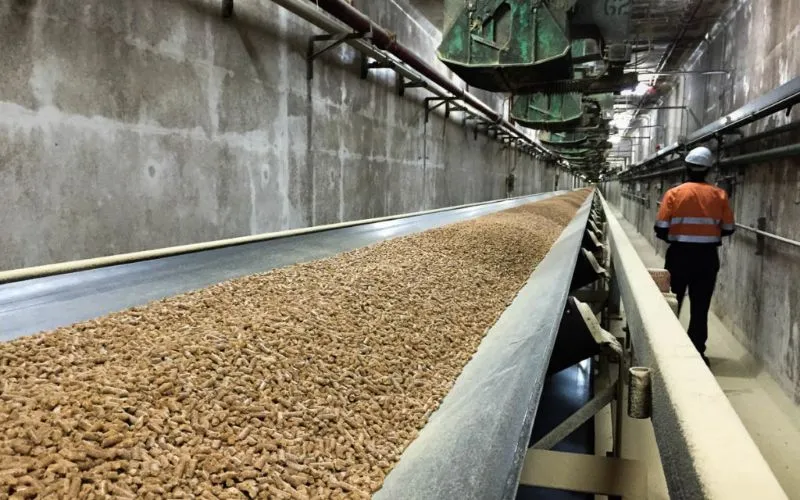 8-10T/H Wood pellet plant construction in France