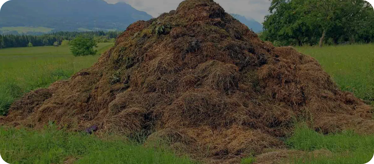 cattle manure pelleting