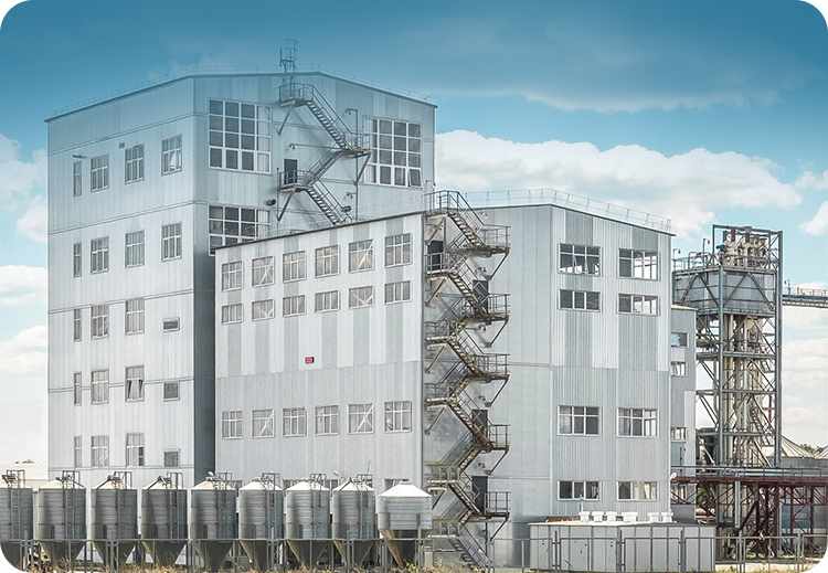 25 T/H fish feed mill project in russia