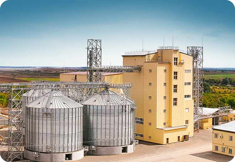 28 t/h fish feed mill project report in India