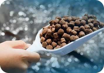 fish feed pellets