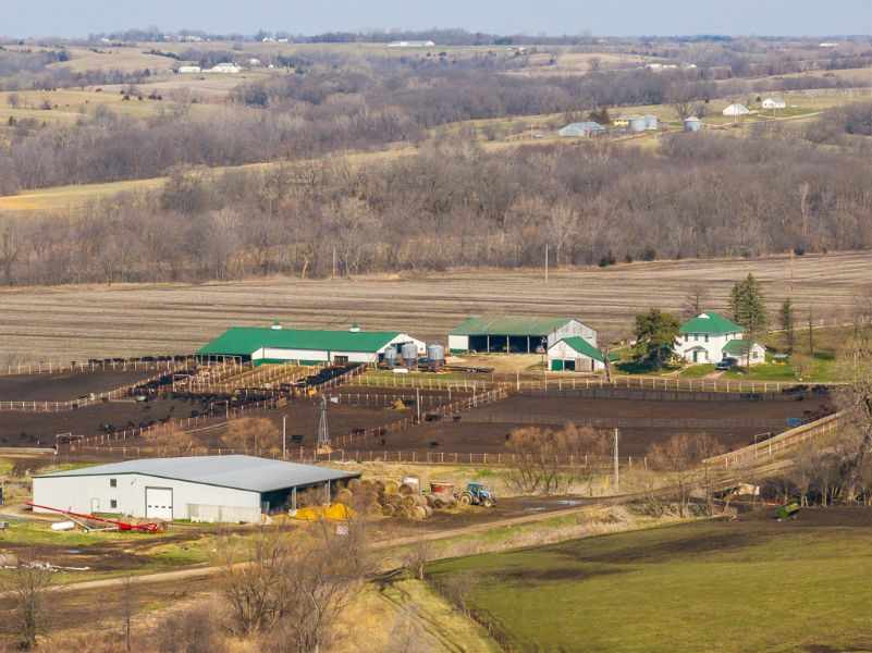 cattle feed plant project