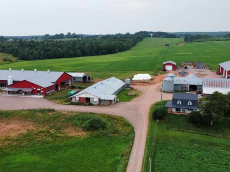 4T/H Cattle Feed Plant Project in Germany