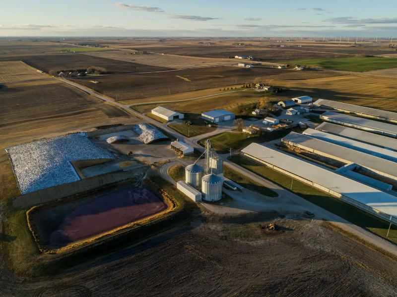 6-8T/H Cattle Feed Plant Project in Spain