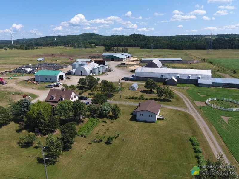 5T/H Cattle Feed Plant Project in Netherlands