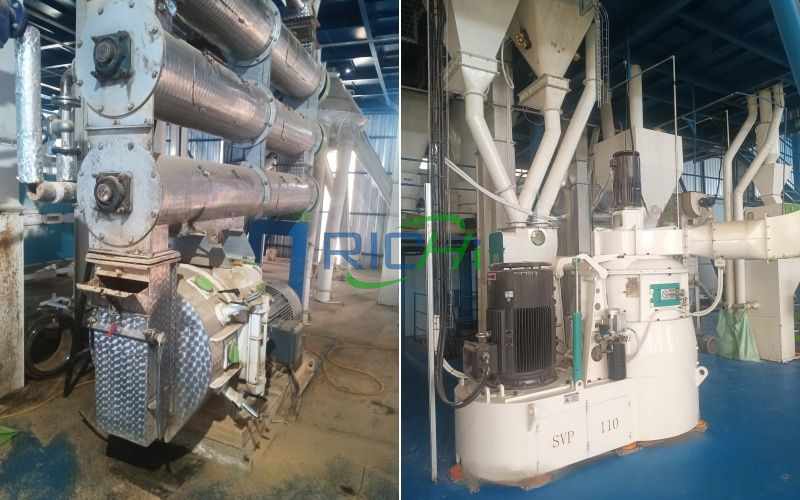 3T/H fish/shrimp line in Thailand