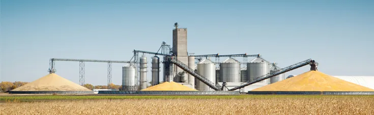 Recommended Projects