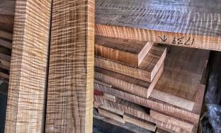 Torrefied Wood