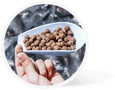 aqua feed pellets