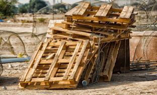 pallet