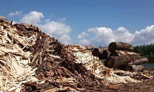  wood