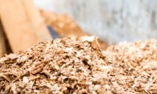 sawdust