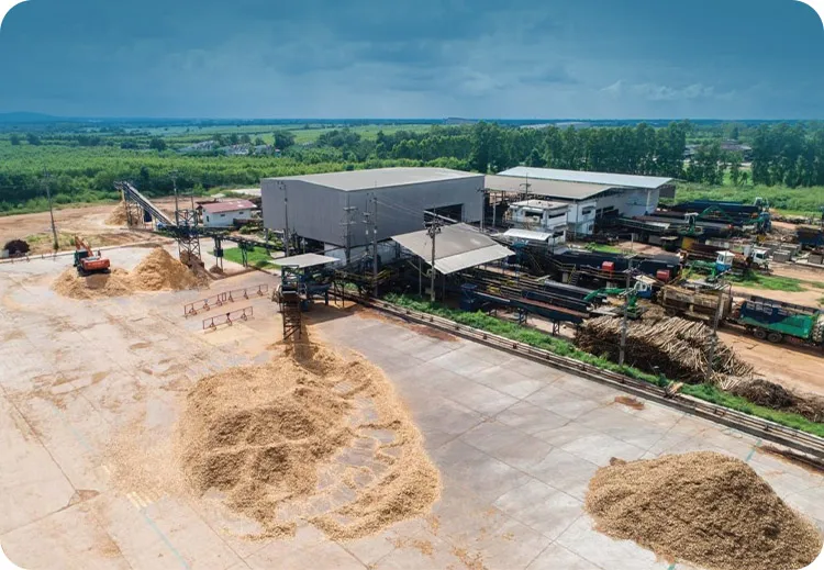 Biomass pellet project in south africa
