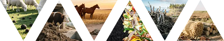 Organic fertilizer pellet raw materials