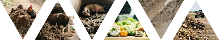 Organic fertilizer raw materials