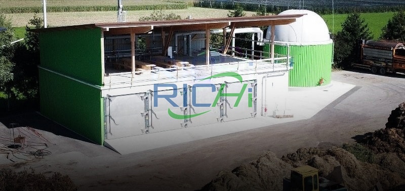 Guano Organic Fertilizer Pellet mill machine