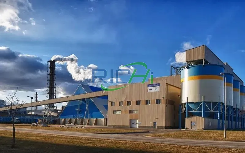 Straw Animal Manure Organic Fertilizer Pellet Line in Ukraine