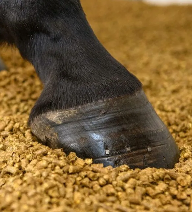 Animal bedding industry