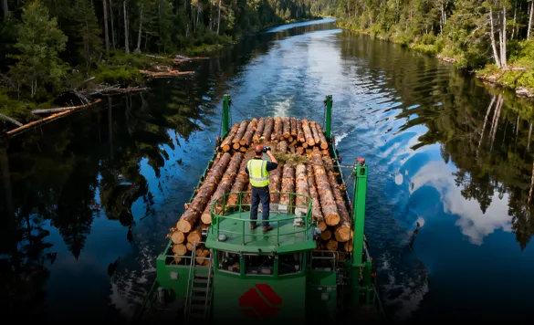 Applications - Forestry Company