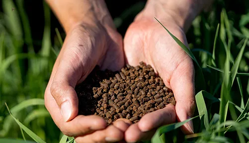 Soil Aeration Wood Fertilizer Pellets