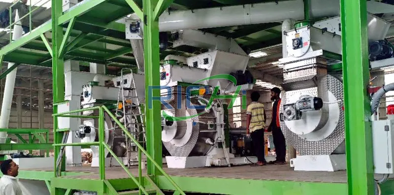 wood pelletizer for sale Bangladesh