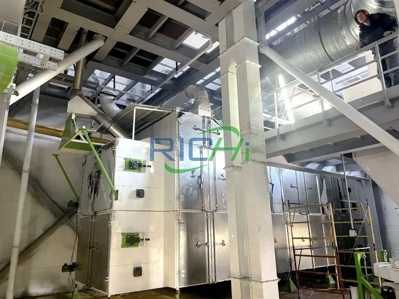 DHG-2000 belt dryer for vegetables in new zealand