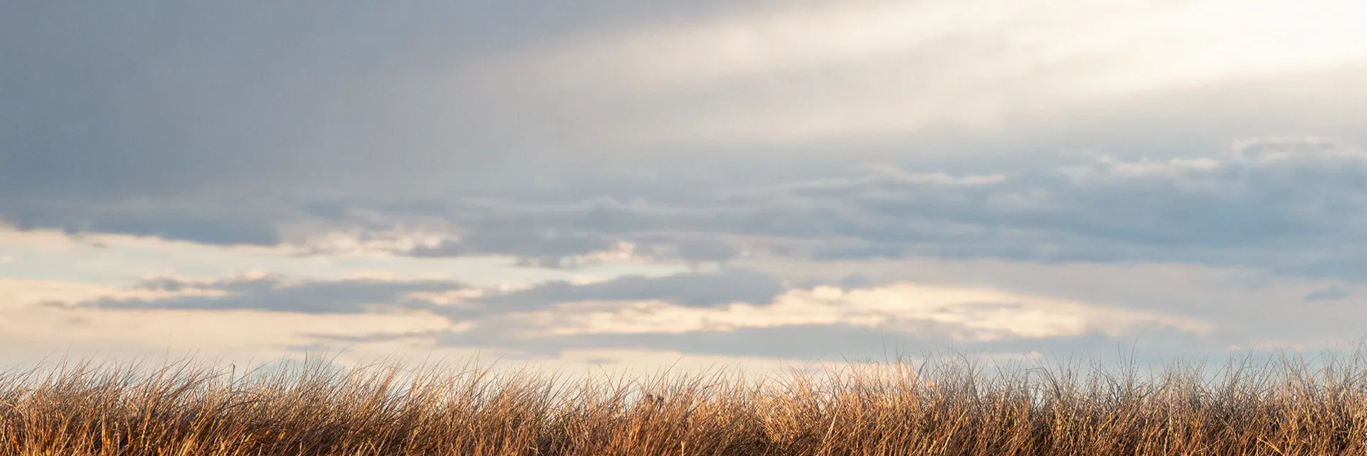 Device parameters-bg