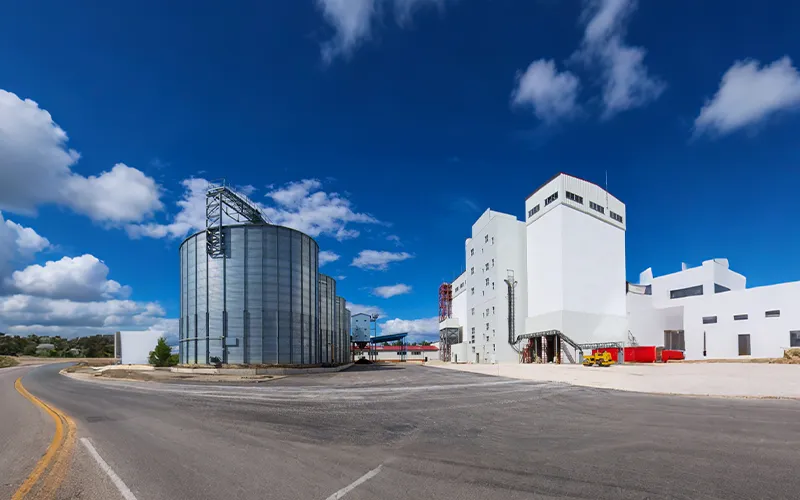 Poultry feed production line in Thailand