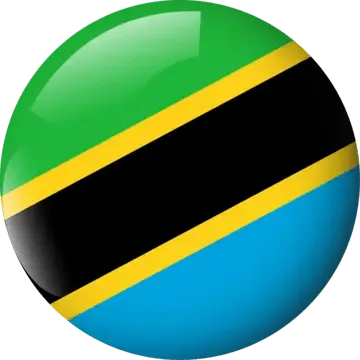 Tanzania flag