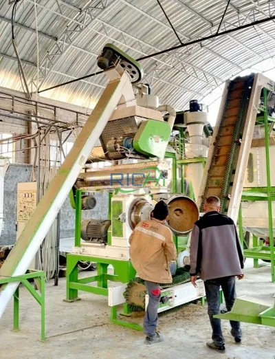 animal feed pellet machine project in Argentina