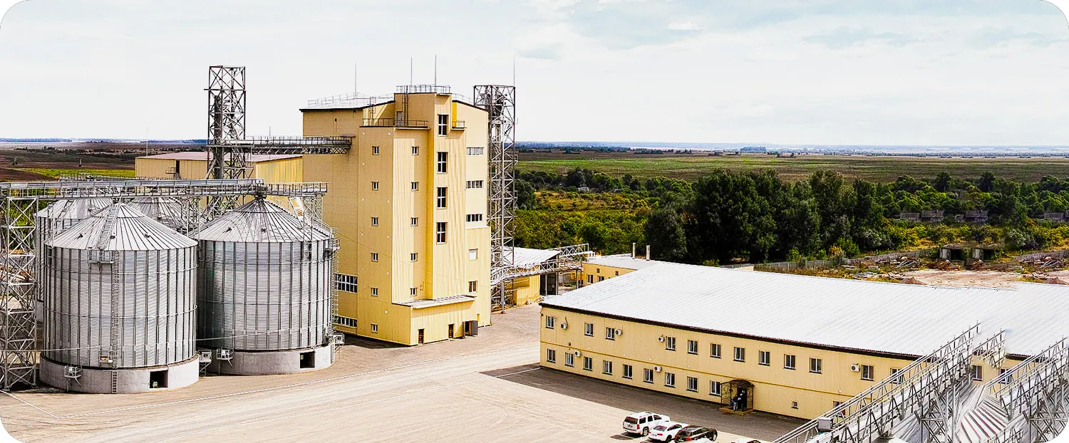 cattle feed production background