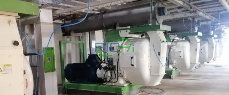 Feed granulator machine for sale in Indonesia