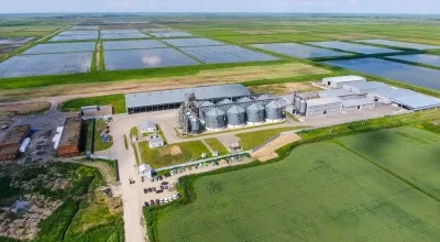 livestock feed engineering