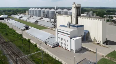 pig feed engineering