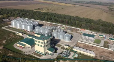 poultry feed engineering