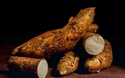 Cassava