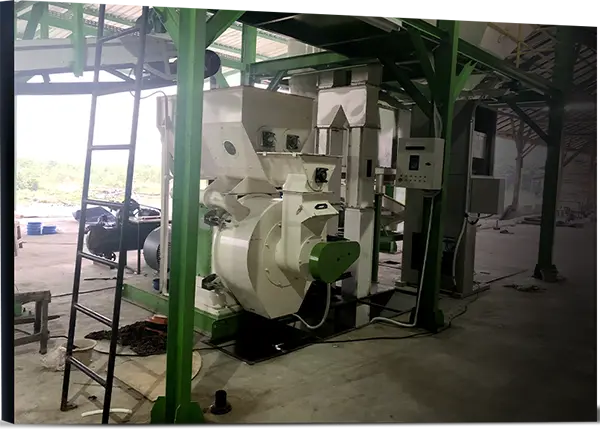 Indonesia Palm Waste to Energy Project