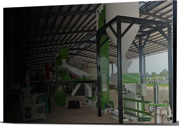 South Africa Fruit Tree Pruning Project