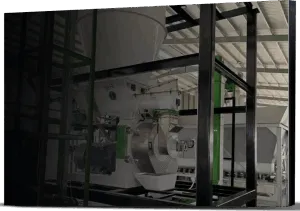 biomass granulator machine in India