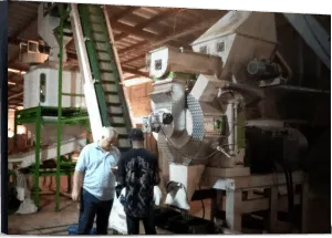 biomass granulator machine in Turkey