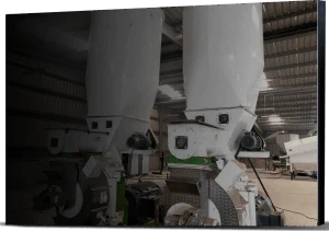 biomass pellet making machine in Brazil