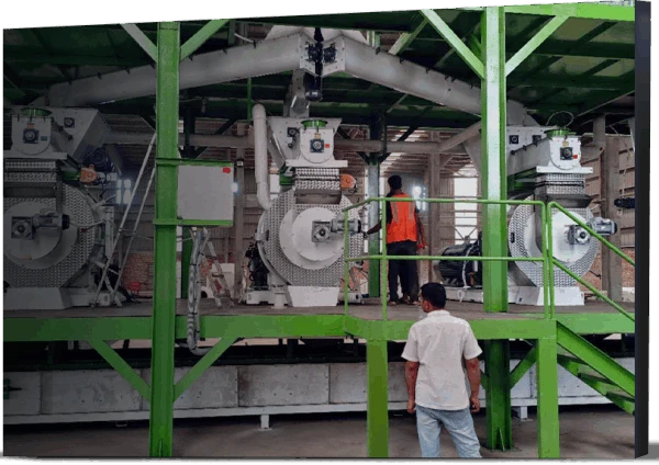 biomass pellet making machine in Indonesia