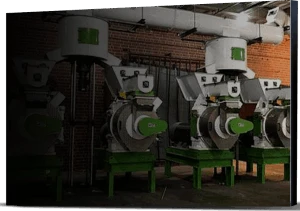 biomass wood pellet machine in Thailand