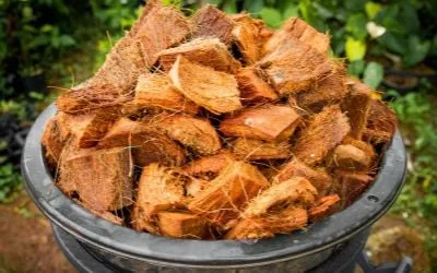 coconut husk