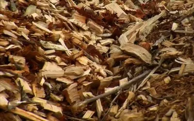 wood chips