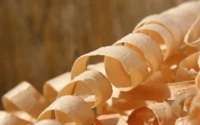 wood shavings
