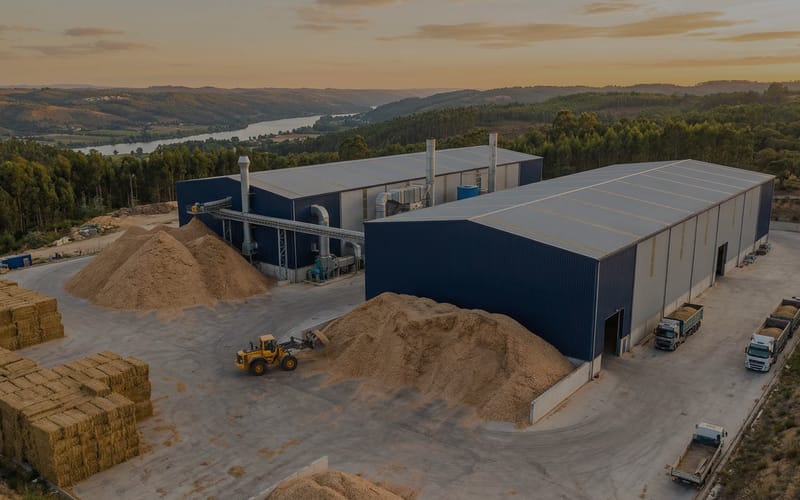 Biomass Sawdust Straw Pellet Production Line in Portugal